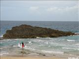 La Posa del Obispo - ARECIBO